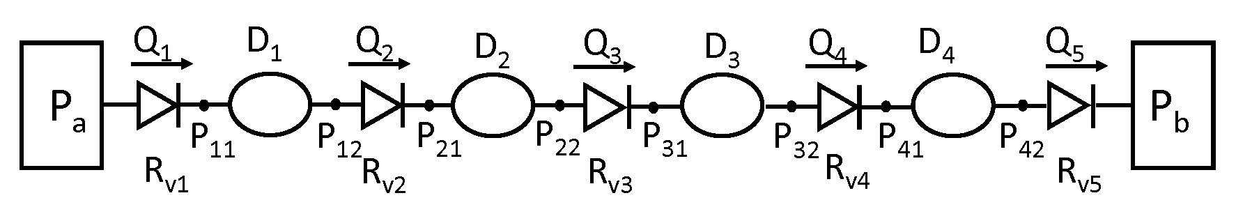 A schematic diagram of the lymphangion-chain model displays the contractile vessel segments, each characterized by its diameter (D). These segments are separated by one-way flow valves, with the flow rate denoted as Q, and the flow resistance as R_{V}. At each connection point that links these components, effectively covering both the upstream and downstream ends of each segment, the pressure (P) is explicitly defined. P_{a} and P_{b} represent constant pressure values at the boundaries.