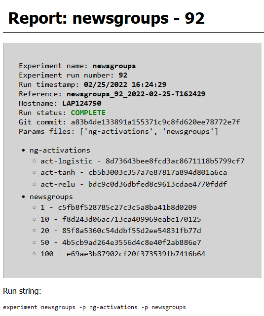 Metadata block at the top of a report.