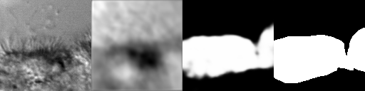 Artifacts generated during the training of SAE+U-Net. From left
to right: original image, SAE-reconstructed image, generated
segmentation mask (pre-threshold), ground-truth segmentation mask