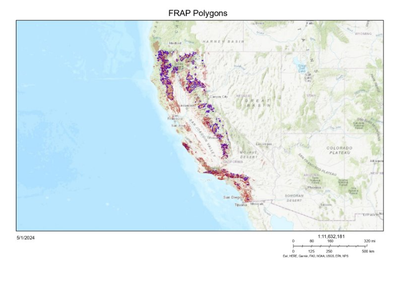 Representation of the Polygon Data from the FRAP. Polygons delineated in purple represent wildfires that occurred in forested areas, used for the California Wildfire GeoImaging Dataset (CWGID).