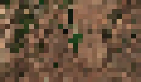 An example of the  image at 300m resolution