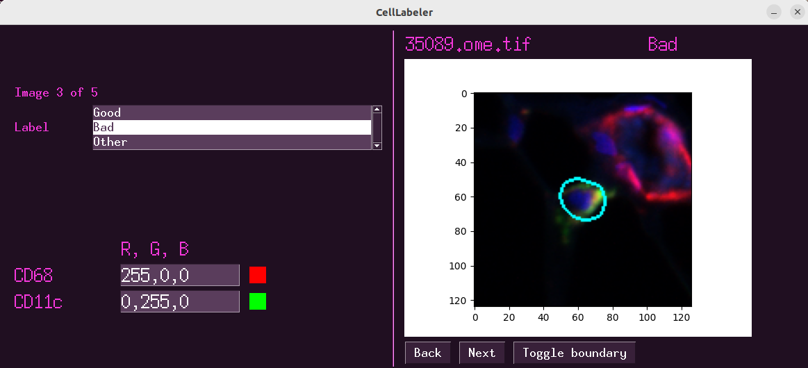 The interface for CellLabeler.