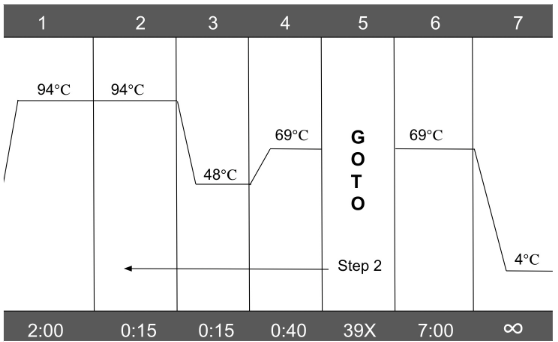 In order to amplify the 400 bp mitochondrial cytb sequence, PCR occurred in three stages: denaturing, annealing, and extending.