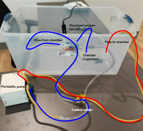 Respirometer diagram