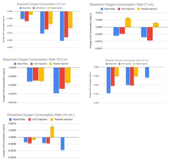 Dissolved oxygen consumption rates for all tested organism diameters with data from basal rate, control, and experimental groups.