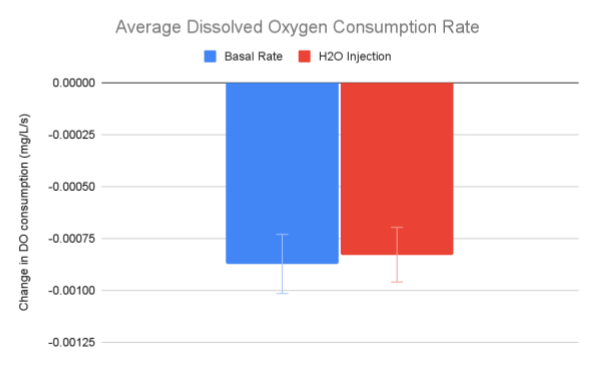 Comparison of average basal rate across all included trials and dissolved oxygen consumption from the control groups exhibited no statistically significant difference (p-value of 0.411203 on a 95% confidence interval). The injection process was then determined to not yield a significant effect on dissolved oxygen consumption rates. Basal rate measurements can be compared with results from the experimental groups.