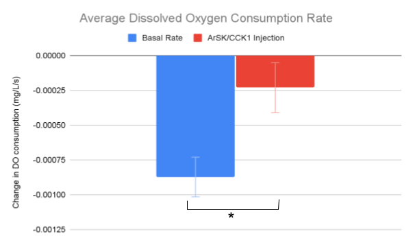 Comparison of average basal rate across all included trials and dissolved oxygen consumption from the experimental groups displayed a statistically significant difference (p-value of 0.004776 on 95% confidence interval), indicating that exposure to ArSK/CCK1 yielded a significant difference in the amounts of dissolved oxygen consumed.