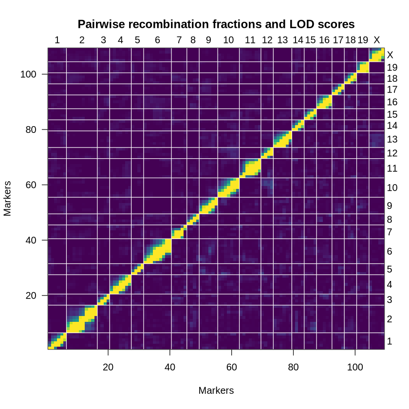 Plot with title “Pairwise recombination fractions and LOD scores”