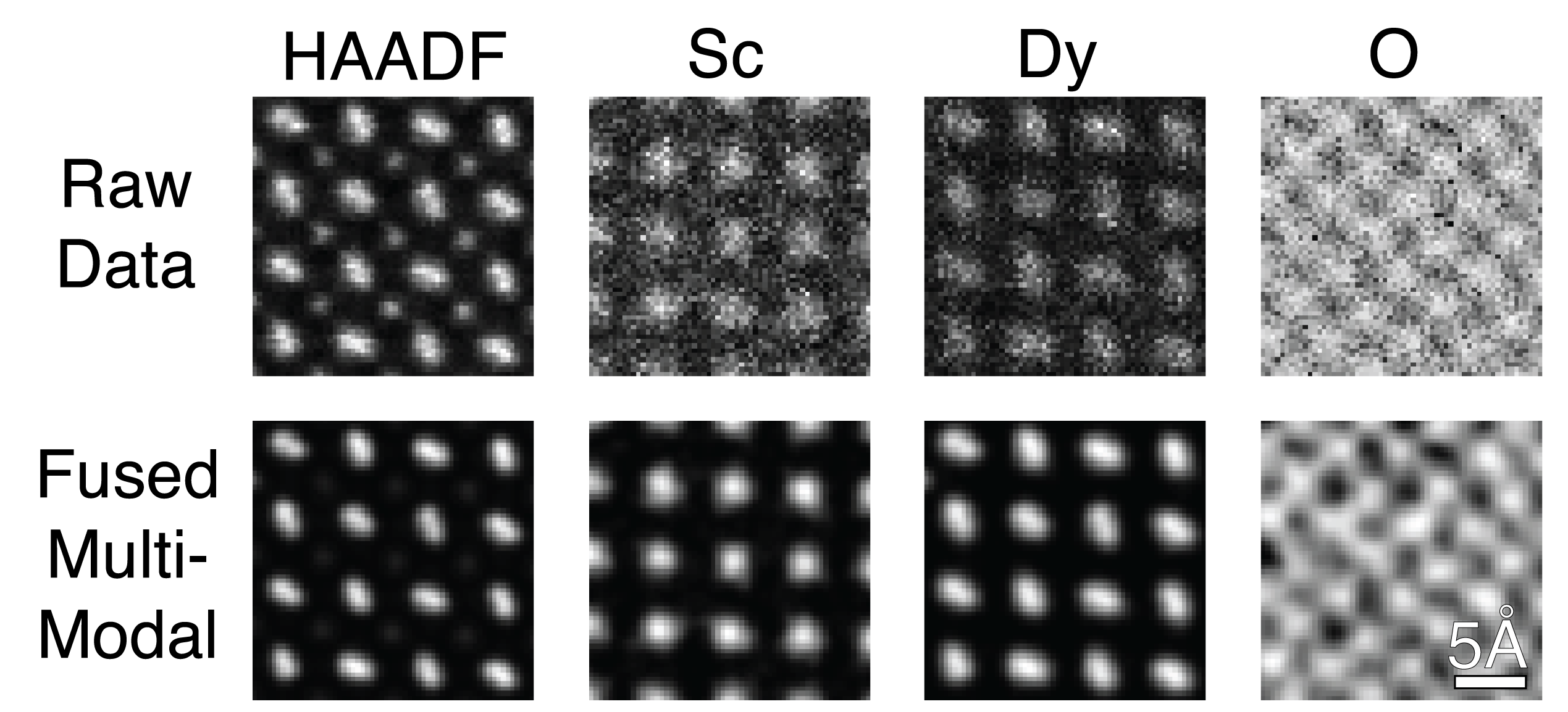 Comparison of raw input vs fused multi-modal DyScO_3 HAADF elastic and X-EDS inelastic images