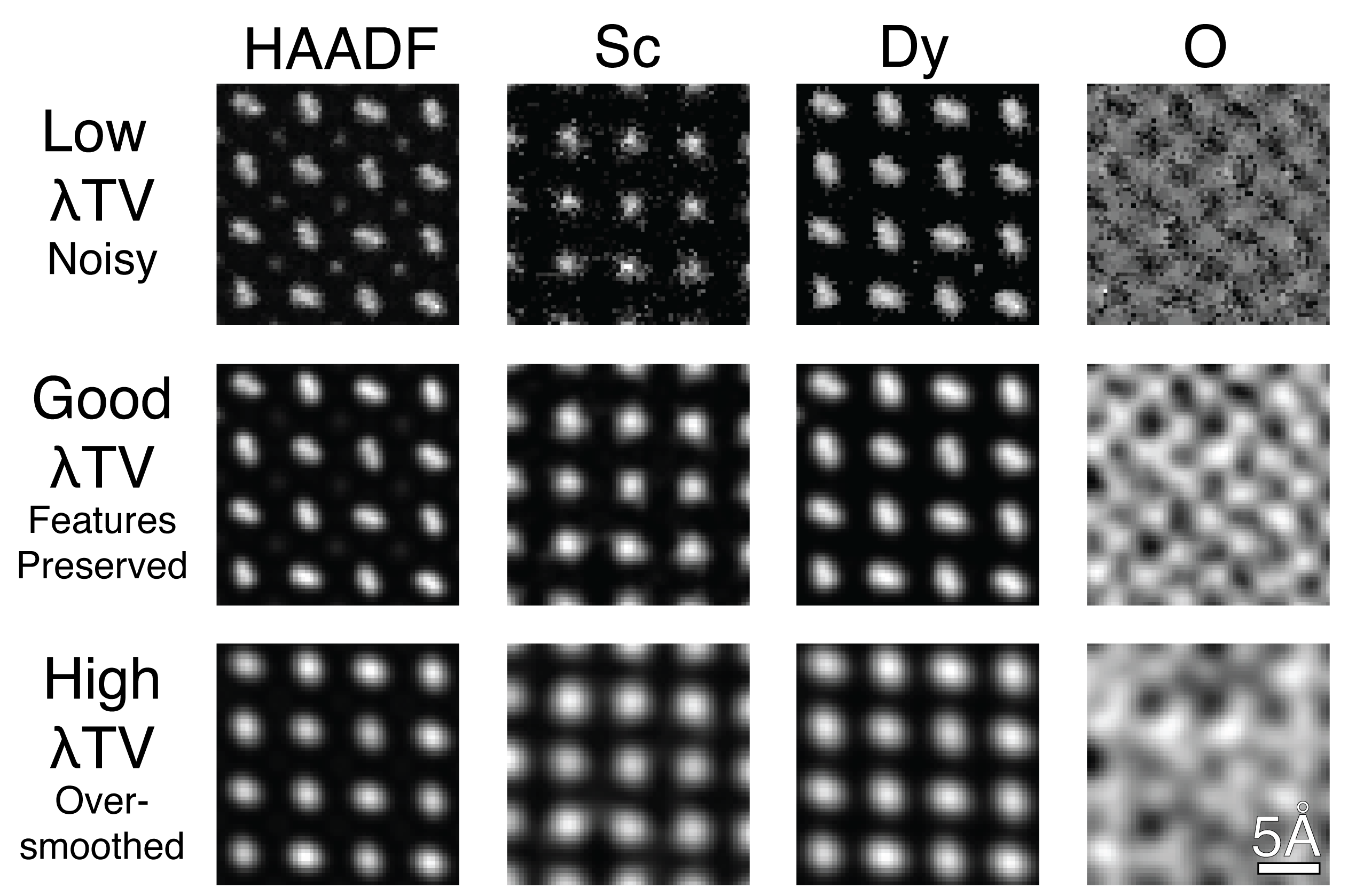 Comparison of TV weighting across different chemistries and HAADF.
Too low of a TV results in noise and artifacts across images.
Proper TV preserves fine features like the dumbell shape of the Dy particles, while reducing noise.  High TV oversmoothes the image resulting in loss of important features for analysis.