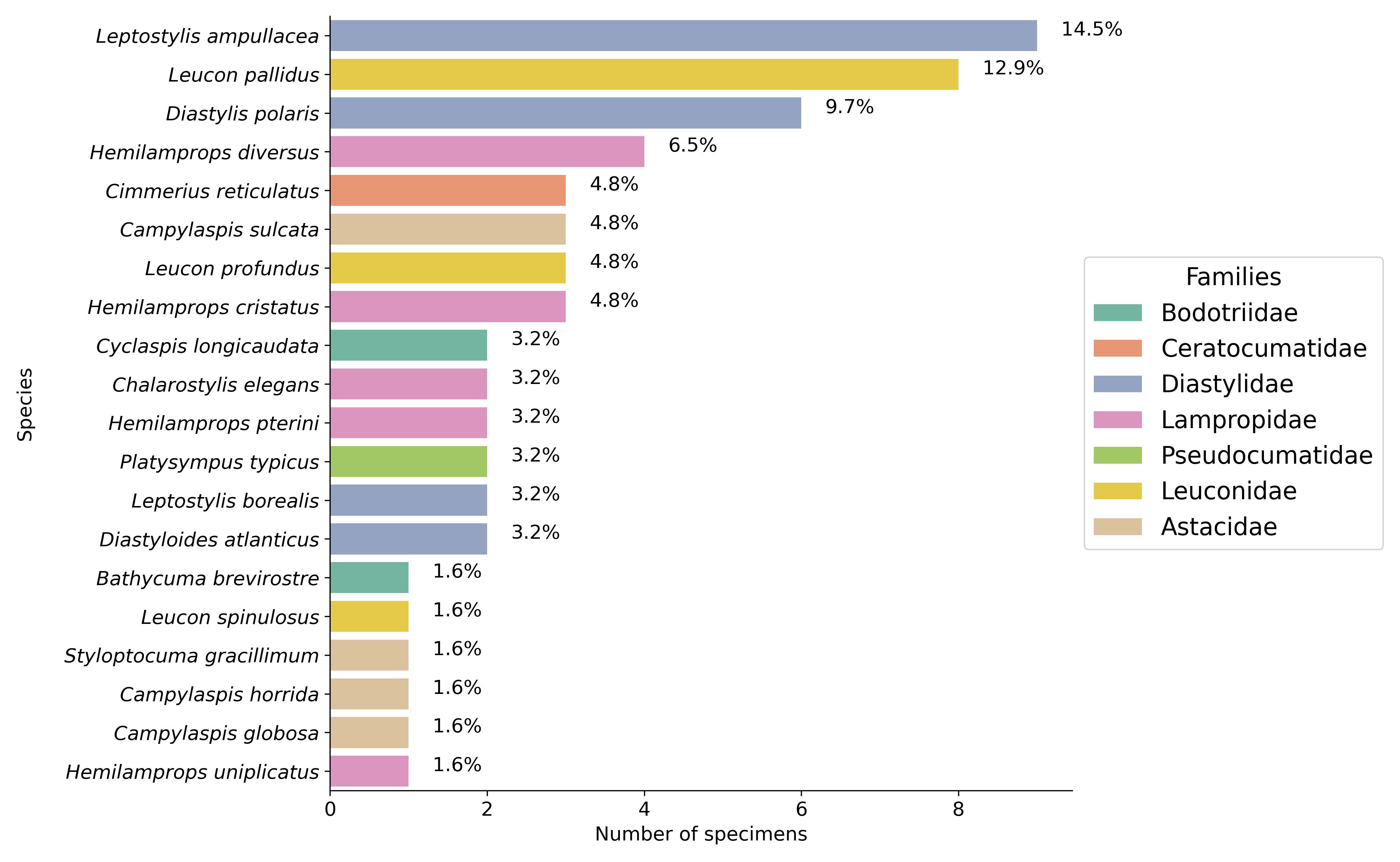 Cumacea frequency distribution by species and family. The percentages (%) displayed above the bars indicate the relative abundance of each species in our dataset. Unlike less common species, those that are abundant (such as Leptostylis ampullacea and Leucon pallidus) may have adaptive characteristics that enable them to exploit resources more easily, resist interspecific competition or withstand changing biological conditions.