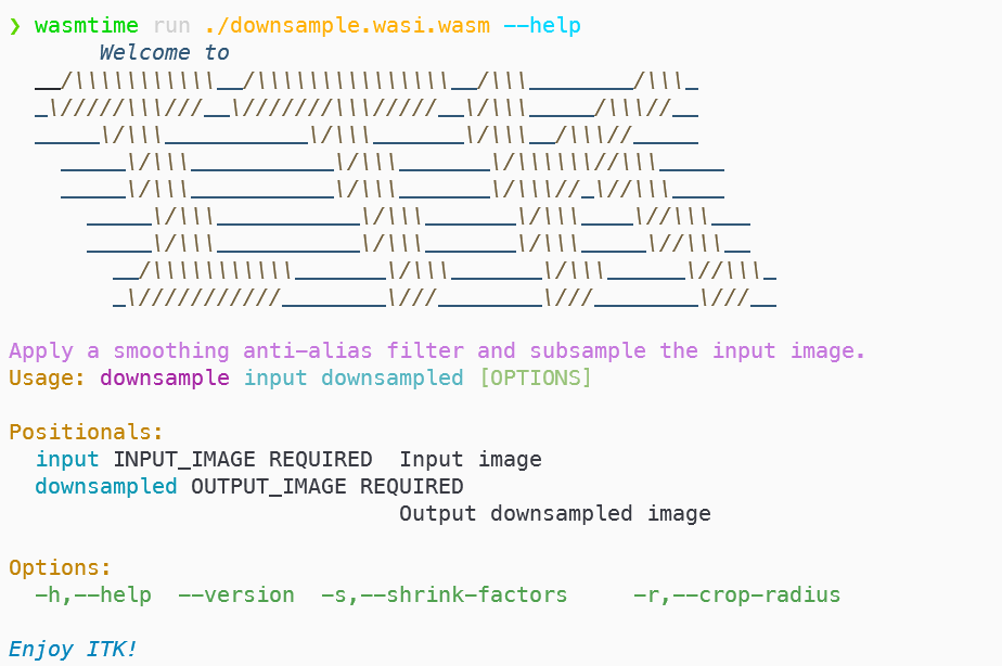 Wasm module help invocation and generated help output.