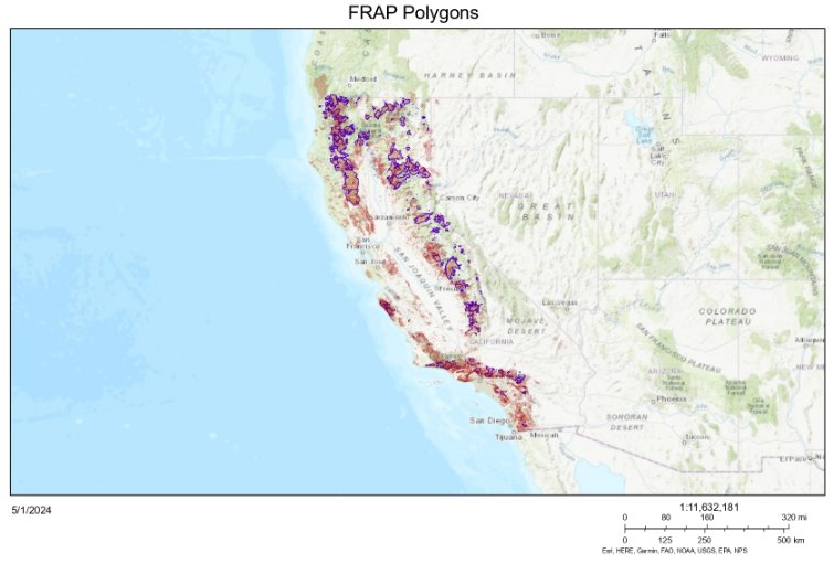 Representation of the Polygon Data from the FRAP. Polygons delineated in purple represent wildfires that occurred in forested areas, used for the California Wildfire GeoImaging Dataset (CWGID).