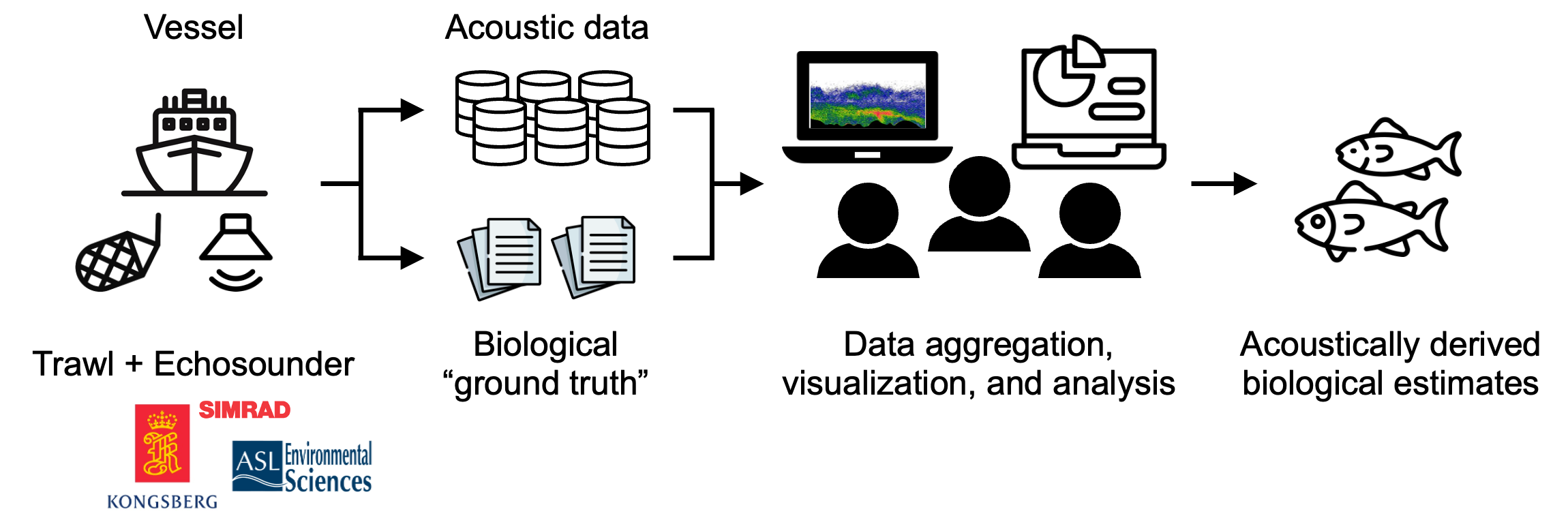 Typical echosounder data analysis workflows.