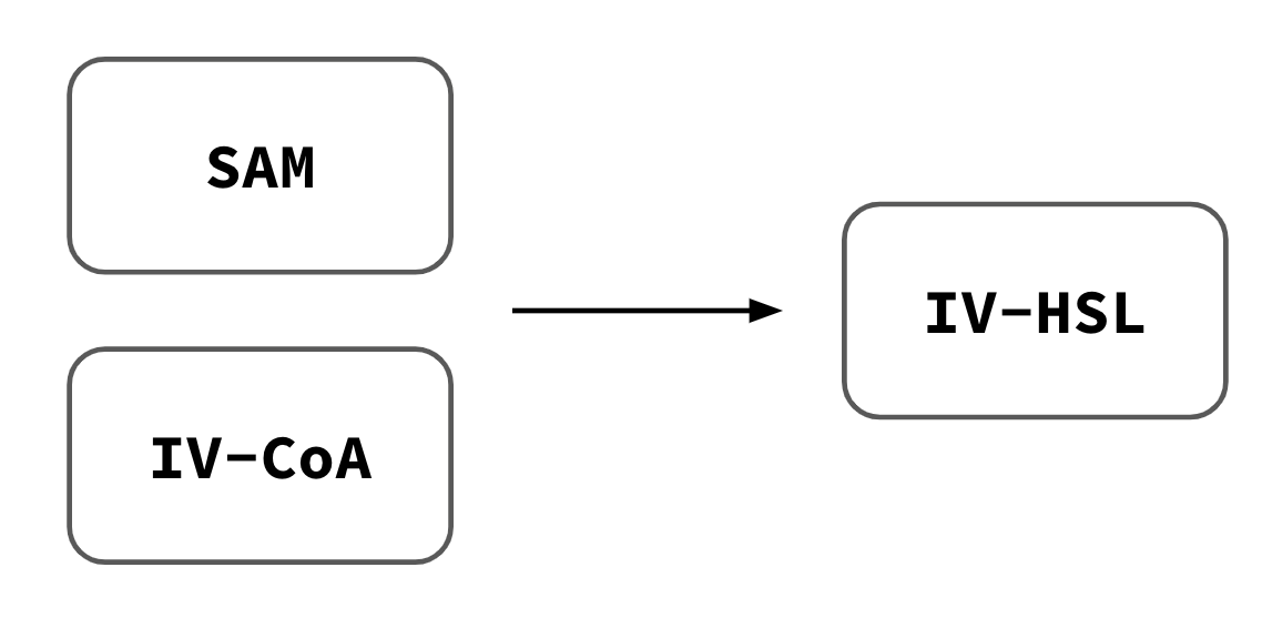 Schematic of IV-HSL emitter module.