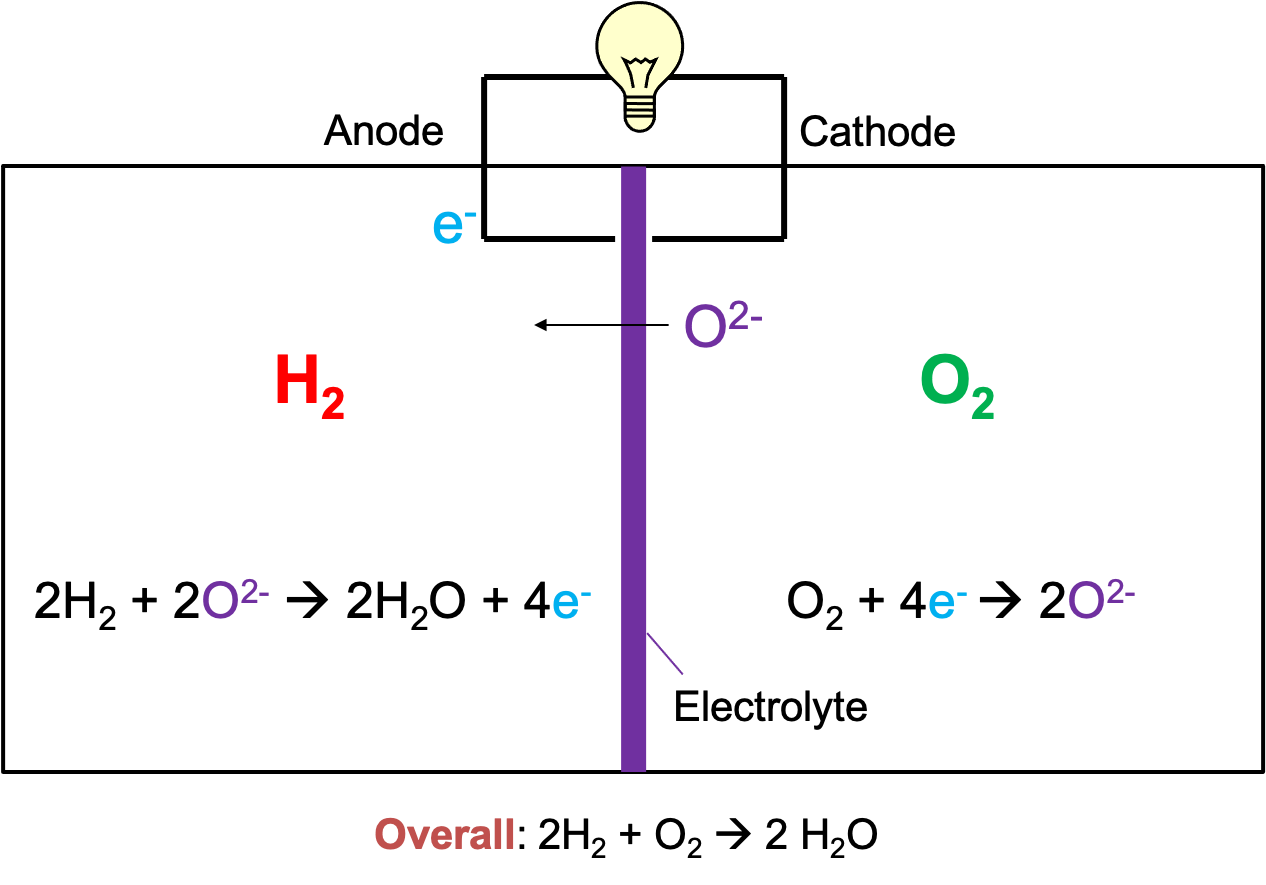 A functional fuel cell with a light bulb powered by the complete circuit