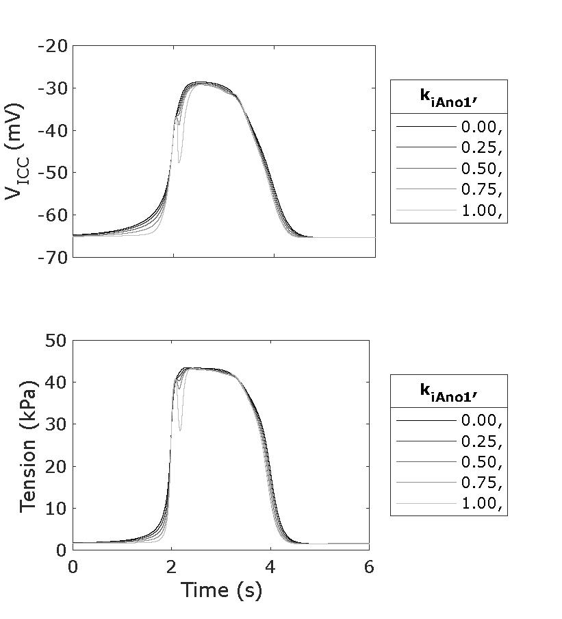 A single slow wave for a sweep of parameter k_{iAno1} with values of 0.0, 0.25, 0.5, 0.75, and 1.0 with f_i set to 10 Hz. Reproduces Figure 2B Panel k_{iAno1} from the Primary Publication with the tension units corrected. Line 11 of figure_generation/aligned_event_plot.m was changed to “effect_var = [1];”. Script: figure_generation/aligned_event_plot.m; Figure: generated_fig/events_sweep_k_iAno1_<timestamp>.svg