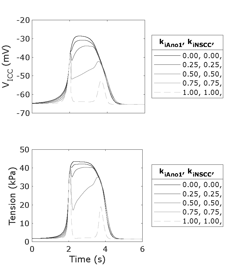 A single slow wave for a sweep of parameters k_{iAno1} and k_{iNSCC} with both having a value of 0.0, 0.25, 0.5, 0.75, and 1.0, and with f_i set to 10 Hz. Reproduces Figure 2B Panel k_{iAno1} & Panel k_{iNSCC} from the Primary Publication with the tension units corrected. Line 11 of figure_generation/aligned_event_plot.m was unchanged. Script: figure_generation/aligned_event_plot.m; Figure: generated_fig/events_sweep_k_iAno1_k_iNSCC_<timestamp>.svg