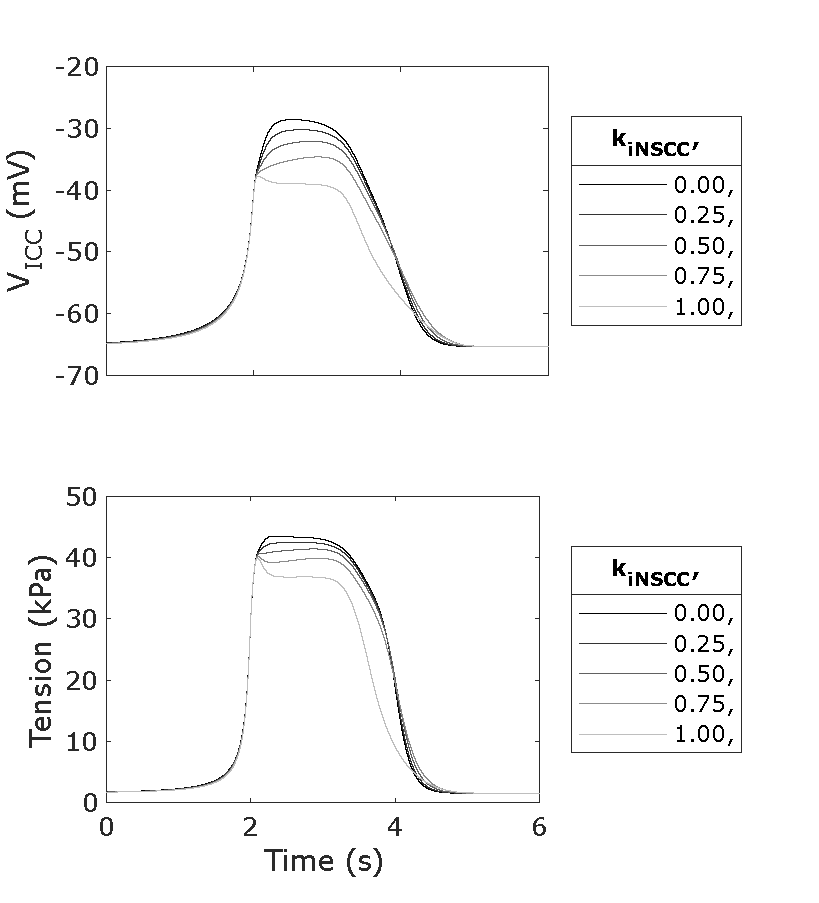 A single slow wave for a sweep of parameter k_{iNSCC} with values of 0.0, 0.25, 0.5, 0.75, and 1.0 with f_i set to 10 Hz. Reproduces Figure 2B Panel k_{iNSCC} from the Primary Publication with the tension units corrected. Line 11 of figure_generation/aligned_event_plot.m was changed to “effect_var = [2];”. Script: figure_generation/aligned_event_plot.m; Figure: generated_fig/events_sweep_k_iNSCC_<timestamp>.svg