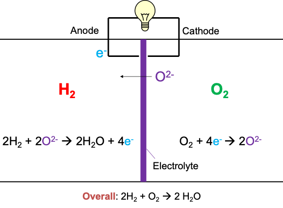 Schematic of a fuel cell from Module 2