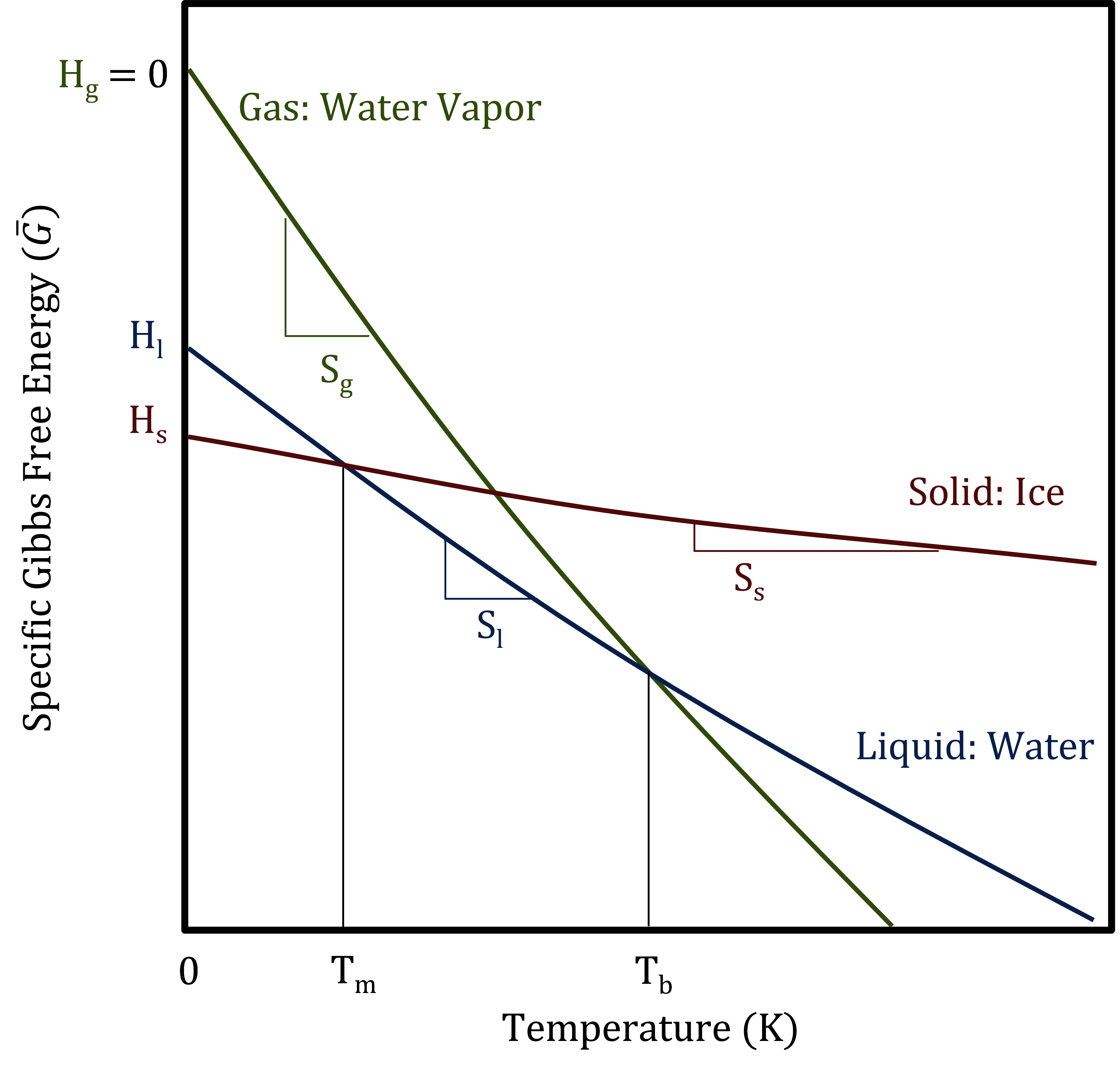 The specific Gibbs free energies \bar{G} for the three phases of water as a function of temperature T.
The phase with the lowest value of \bar{G} at a given T is stable.