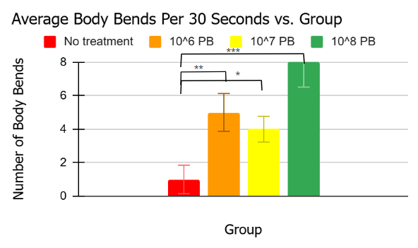 Probiotic treatment continued to increase thrashing behavior in Day 6 worms. The solid red bar represents the untreated worms, which were solely exposed to MC4100 E. coli. The orange bar represents the treated worms, which were exposed to 10^6 CFU/mL probiotic supplementation alongside MC4100. The yellow and green bars represent the treated worms exposed to the 10^7 and 10^8 concentrations of the probiotic supplementation, respectively. The 10^8 worms presented the most statistically significant difference in the number of thrashes per 30 seconds, with p<0.001. Overall, the treated worms experienced a significant (p<0.05) number of thrashes compared to the untreated worms and experienced an insignificant difference in thrashes amongst themselves. In terms of p-value, one star signifies p<0.05, two stars signifies p<0.01, and three stars signifies p<0.001.