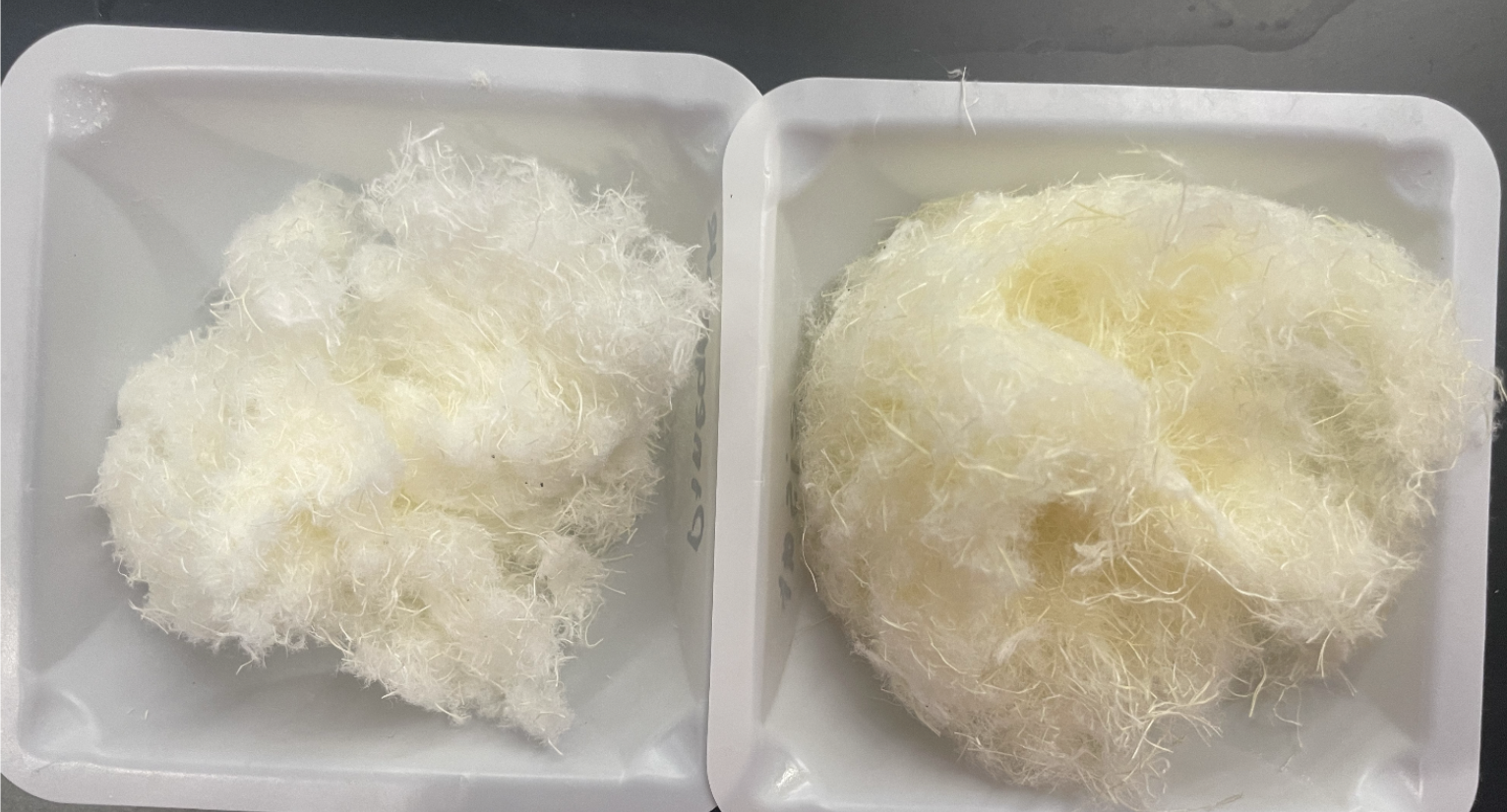 Delignified fibers
