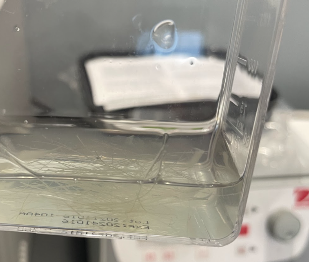 Sisal fibers day 6 of assay
