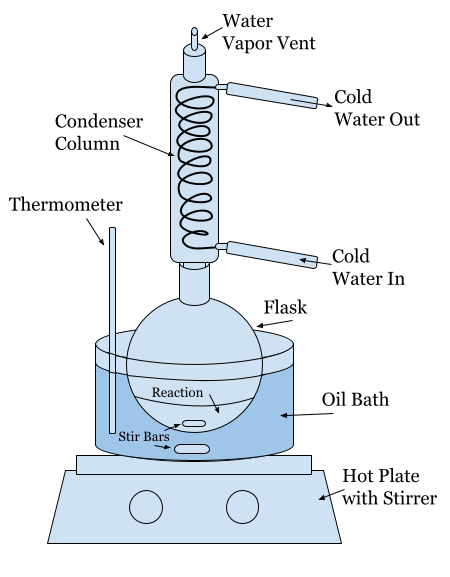 Hydrolysis Reaction Setup