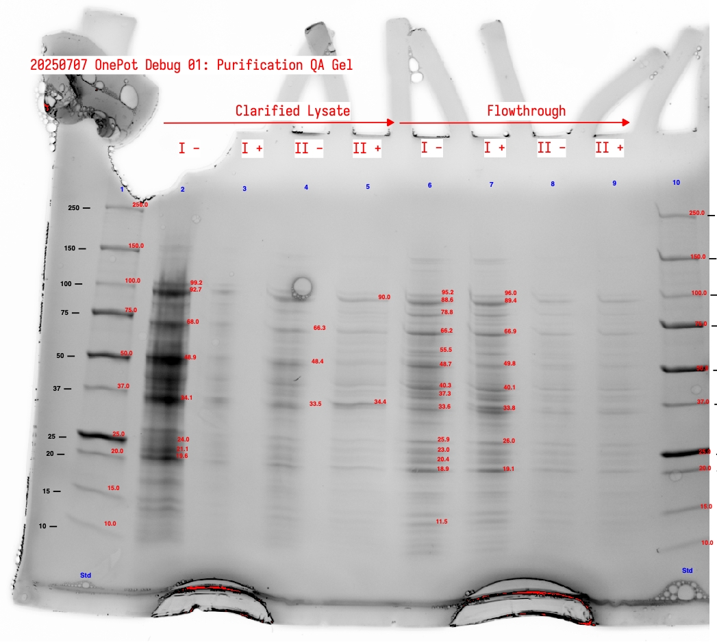 Annotated protein gel showing clarified lysate and flowthrough fractions for sample sets I and II.