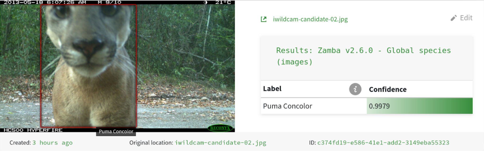 Screenshot of the prediction review interface in Zamba Cloud.
