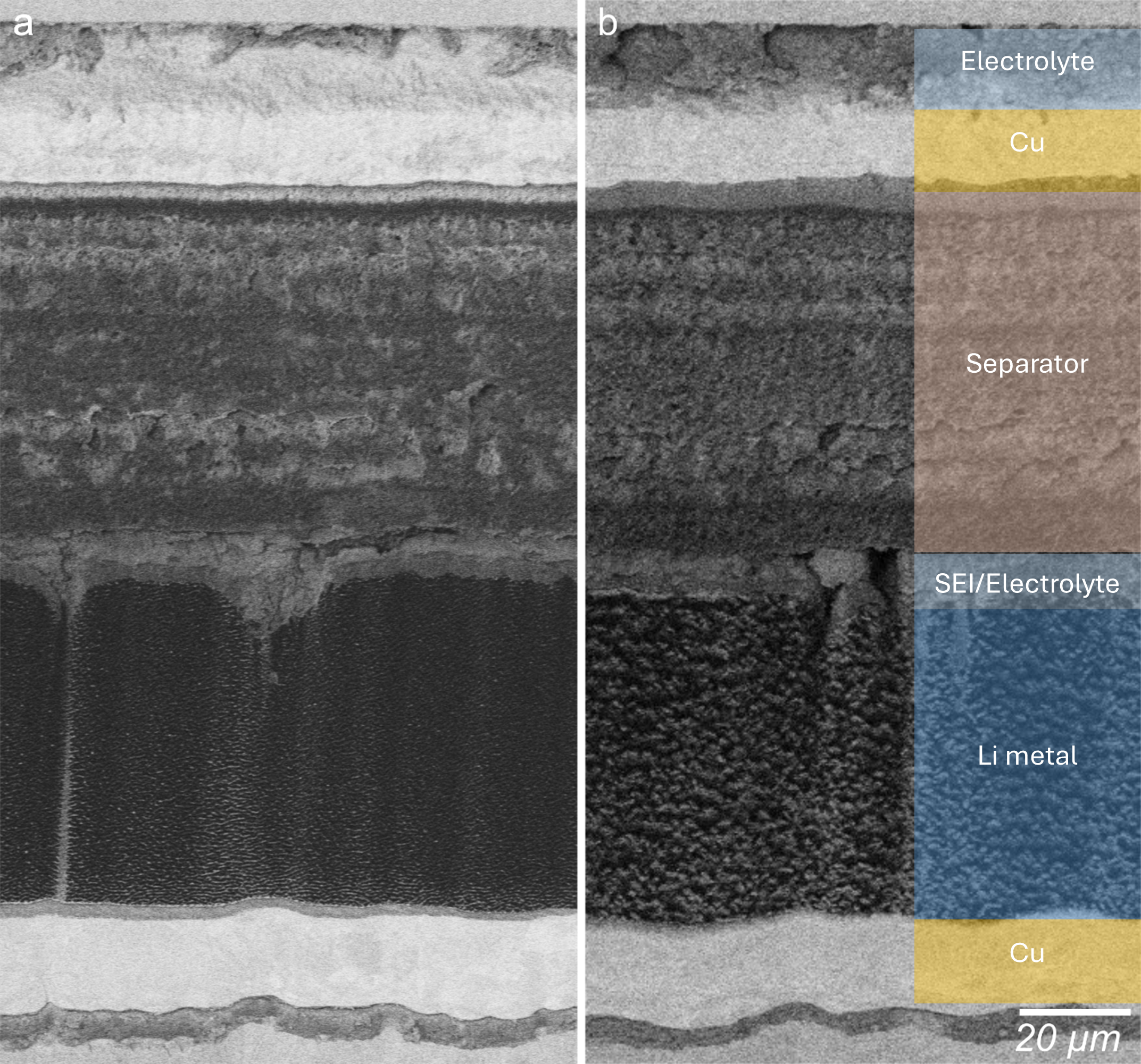 Wavelength-dependent LIPSS variation on coin cell ROI. Cryo-SEM backscatter electron (BSE) images of an uncycled (pristine) coin cell battery ablated with a) 515 nm and b) 1030 nm.