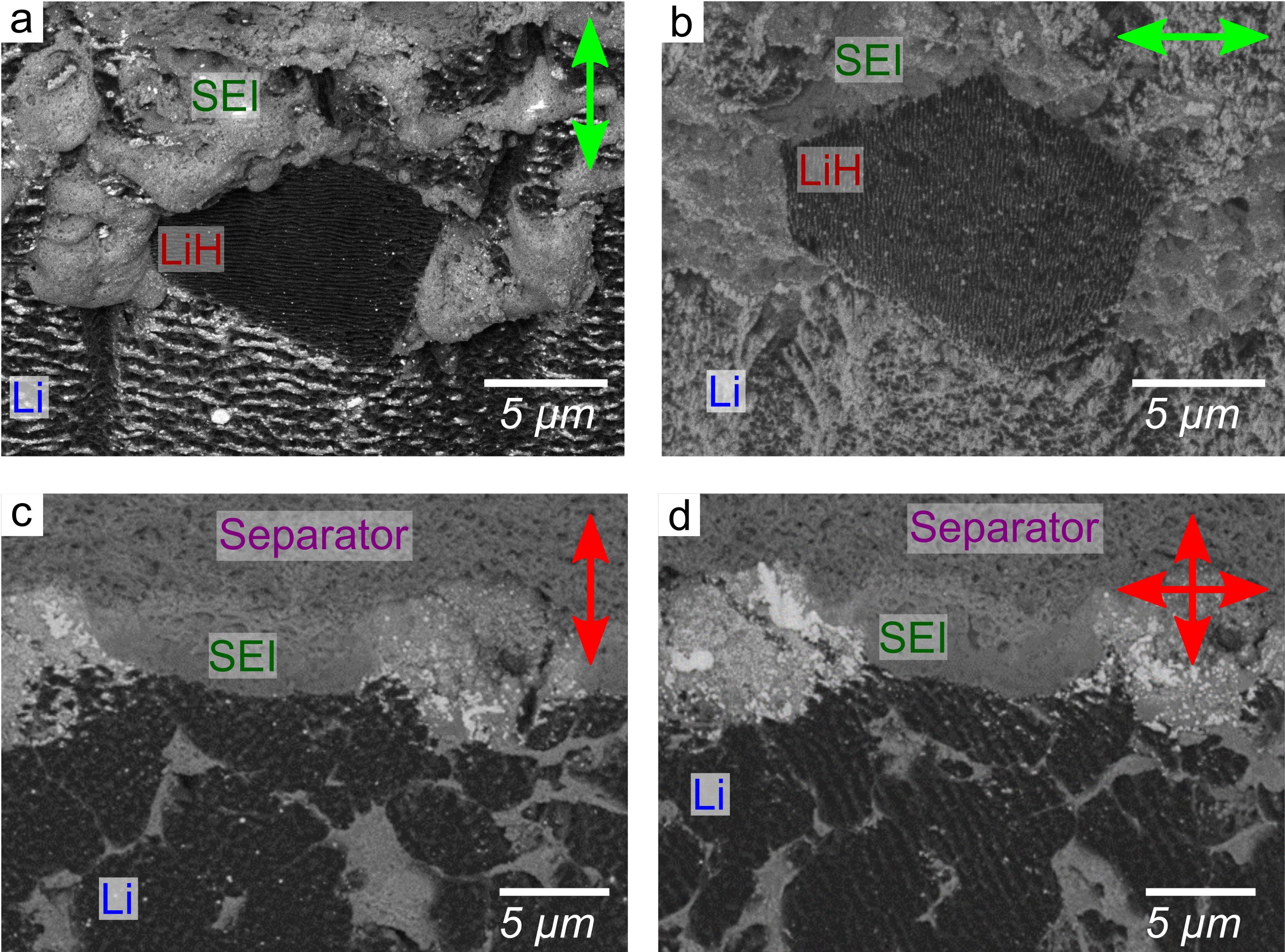 Effect of polarization on wavelength-dependent LIPSS in cycled coin cell ROI observed via Cryo-SEM BSE. A coin cell region with Li metal, SEI/electrolyte, and LiH domains polished with 515 nm a) p-polarization and b) s-polarization. A coin cell region with Li metal, SEI/electrolyte, and polymer separator polished with 1030 nm c) p-polarization and d) circular polarization.