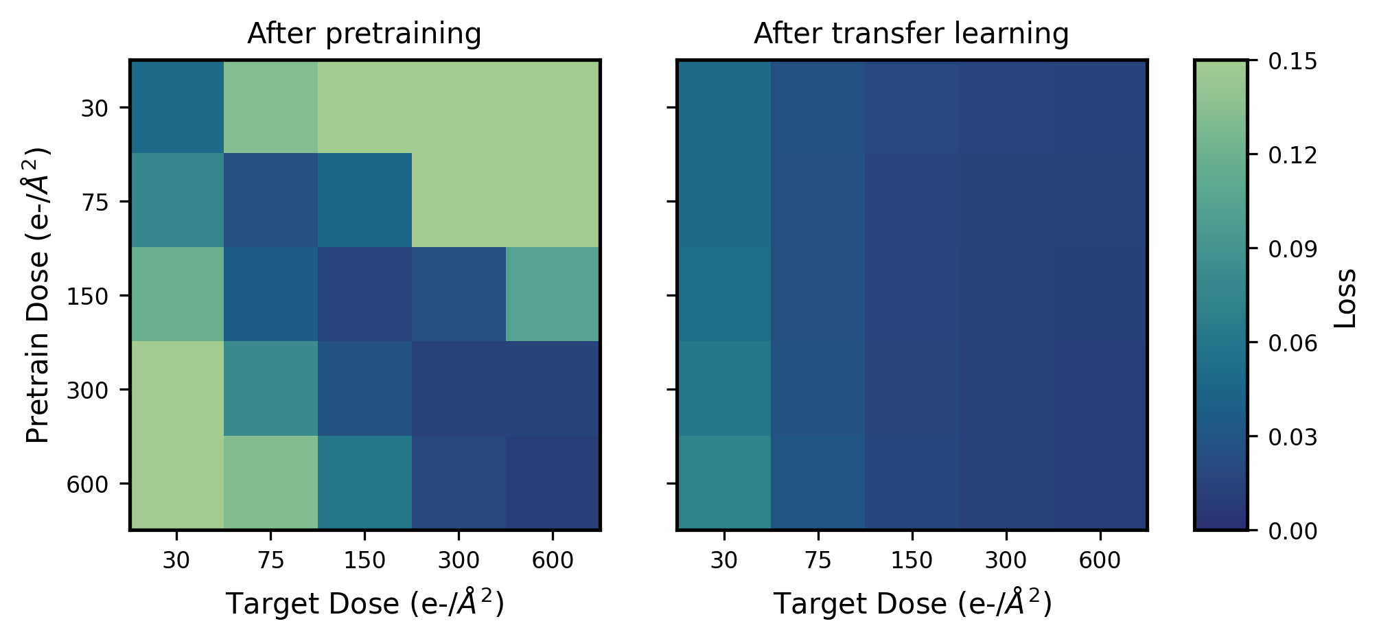 Performance of U-Net models on CdSe nanoparticle datasets varying in electron dose after pretraining (left) and after transfer learning (right). Data are aggregated over all model freezing options; the median of model performance is taken per pair of electron doses.