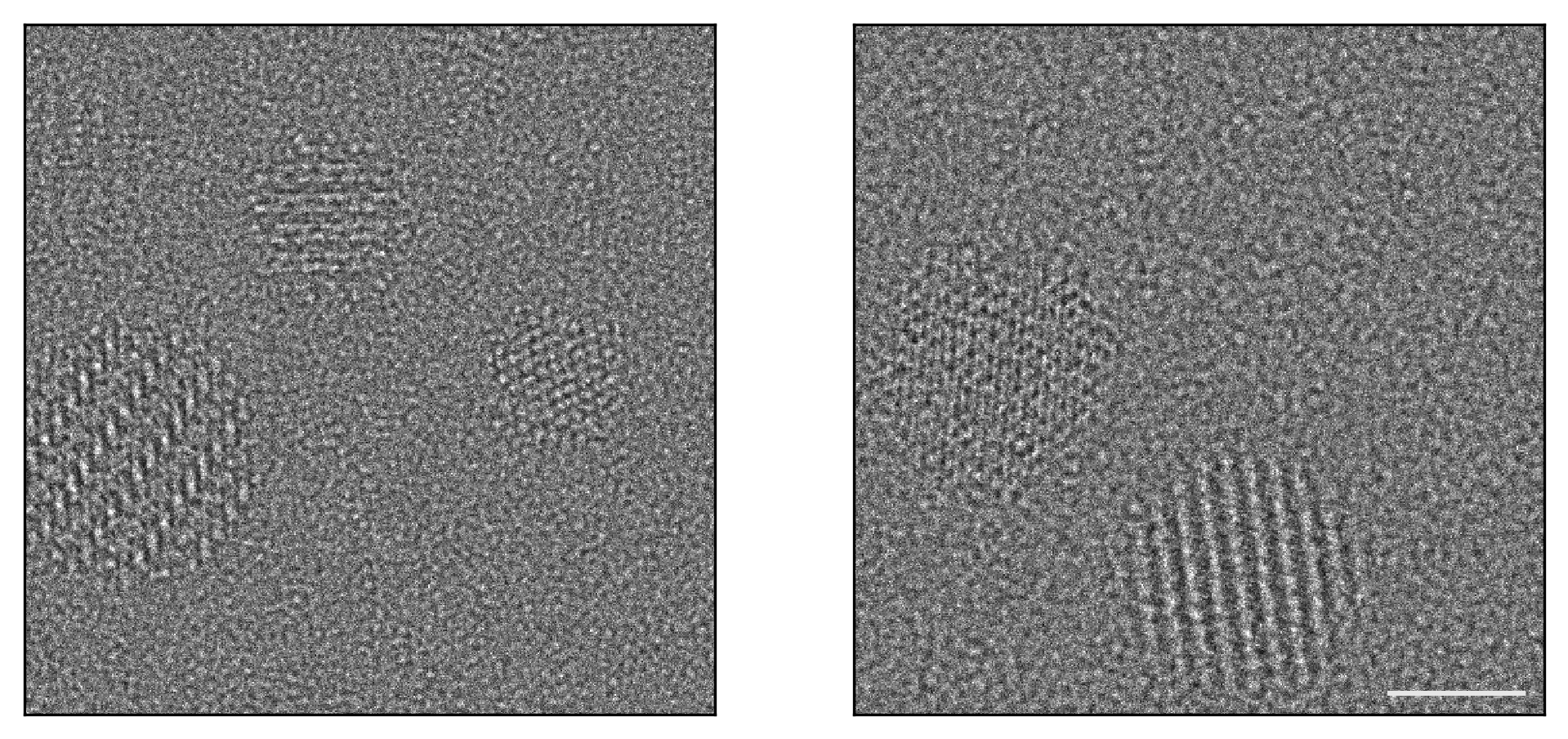 Example training images from datasets used in this study. Scale bar is 2nm.