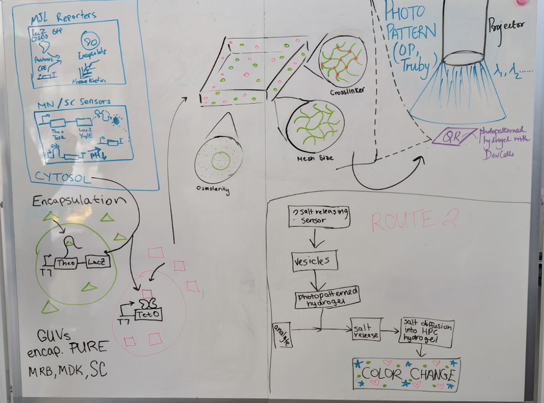 Chicago Node participants diagramed their integrated system and introduced it to the other project participants.