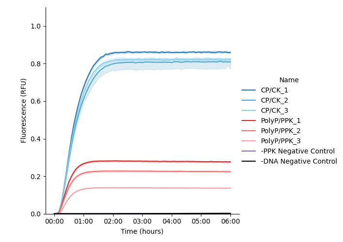 Group 2 deGFP expression kinetics