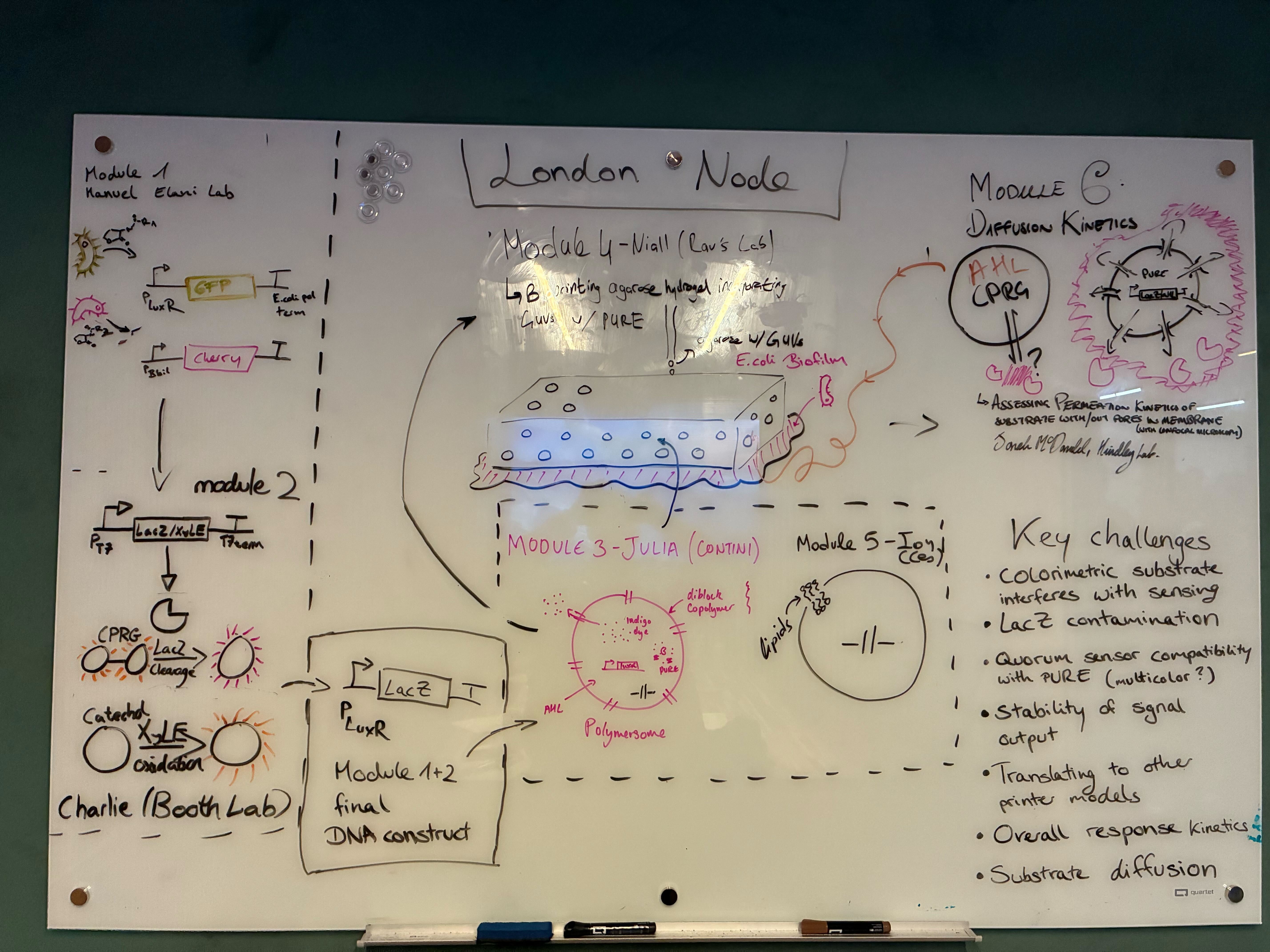 London Node participants diagramed their integrated system and introduced it to the other project participants.