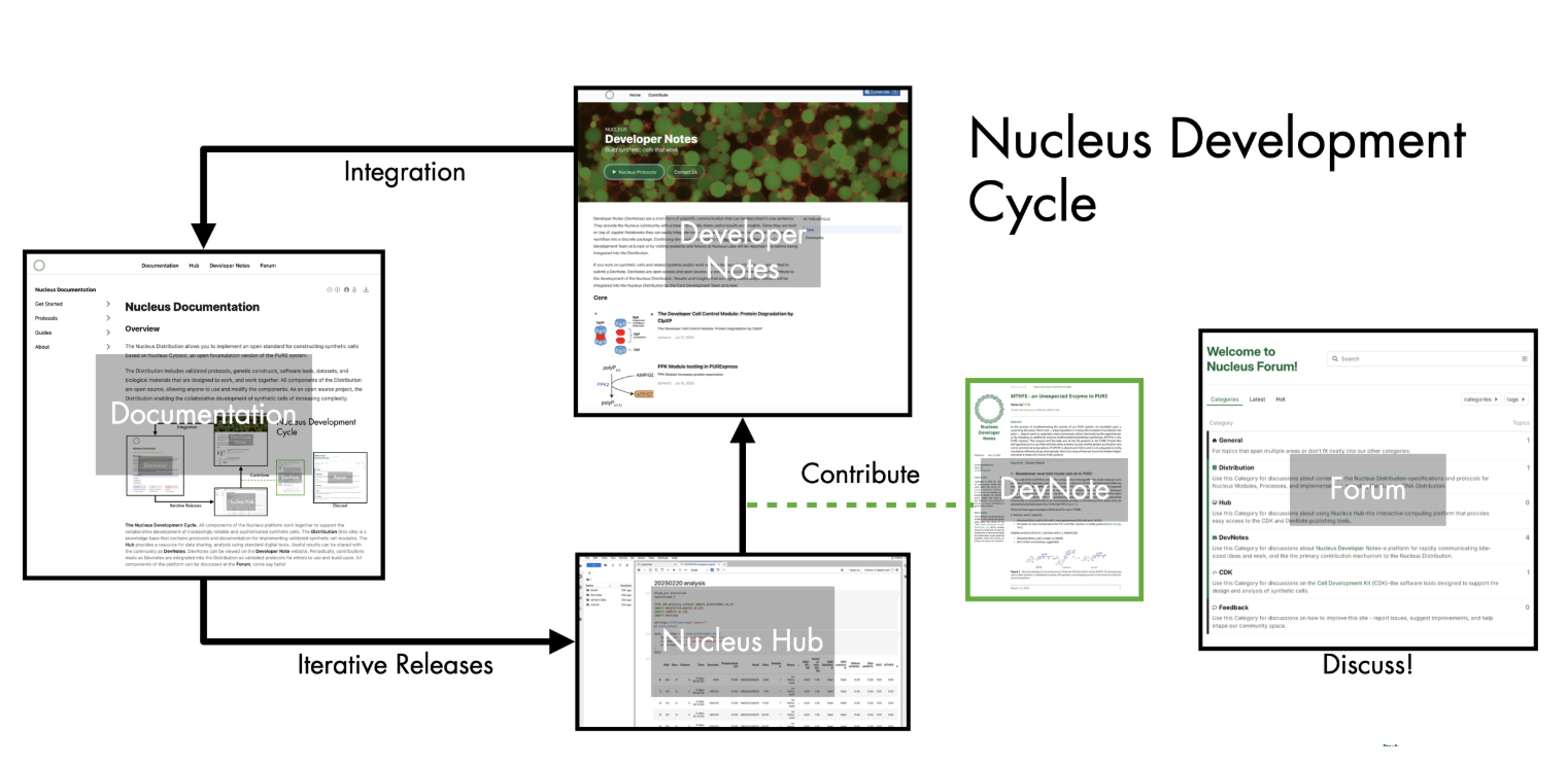 Components of the Nucleus Platform.