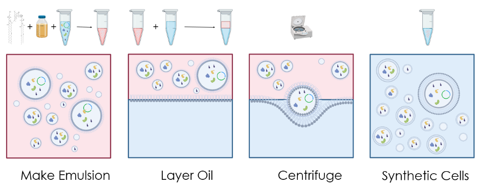 Cartoon showing the emulsion transfer method workflow.