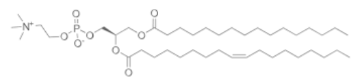 POPC (1-palmitoyl-2-oleoyl-sn-glycero-3-phosphocholine)