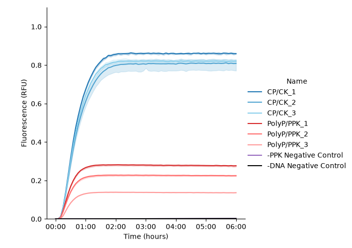 Group 2 deGFP expression kinetics