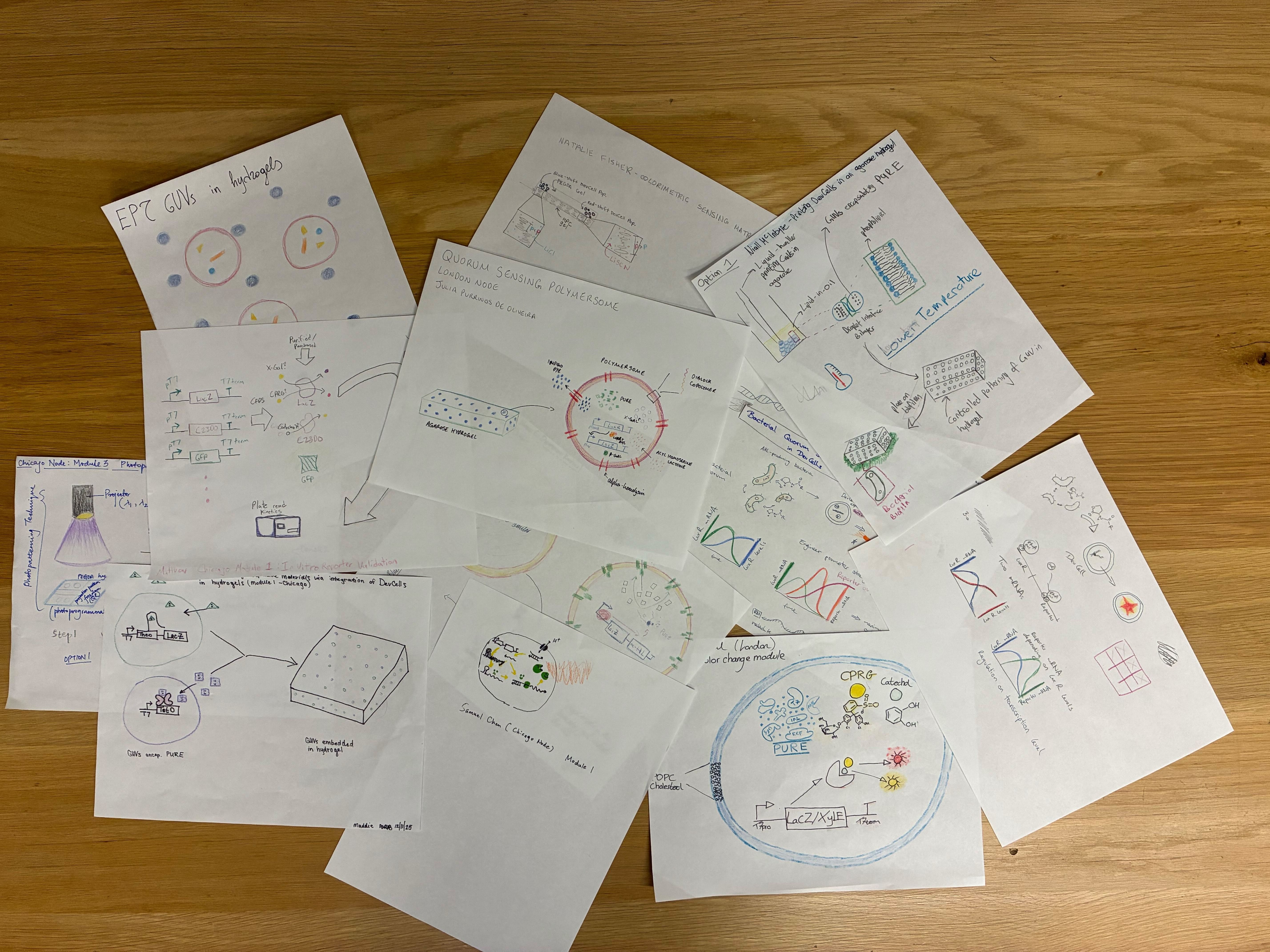 Participants introduced their modules to one another through drawing.