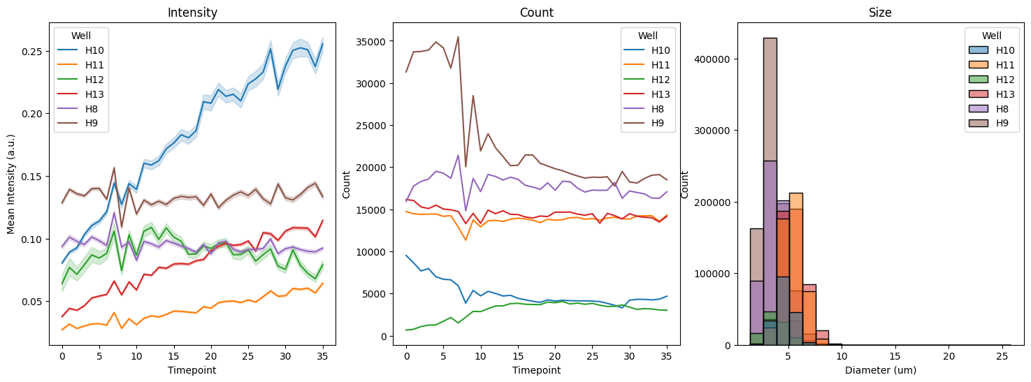 The raw fluorescence data from Group B’s synthetic cells, containing the pOpen-deGFP plasmid, was processed to evaluate expression kinetics. For the majority of samples, the mean fluorescence intensity exhibited a temporal increase, although wells H8 and H9 proved to be notable exceptions. Significant variations in the total population count across different wells were observed, reflecting the inherent stochasticity of individual liposome preparations performed by different participants.