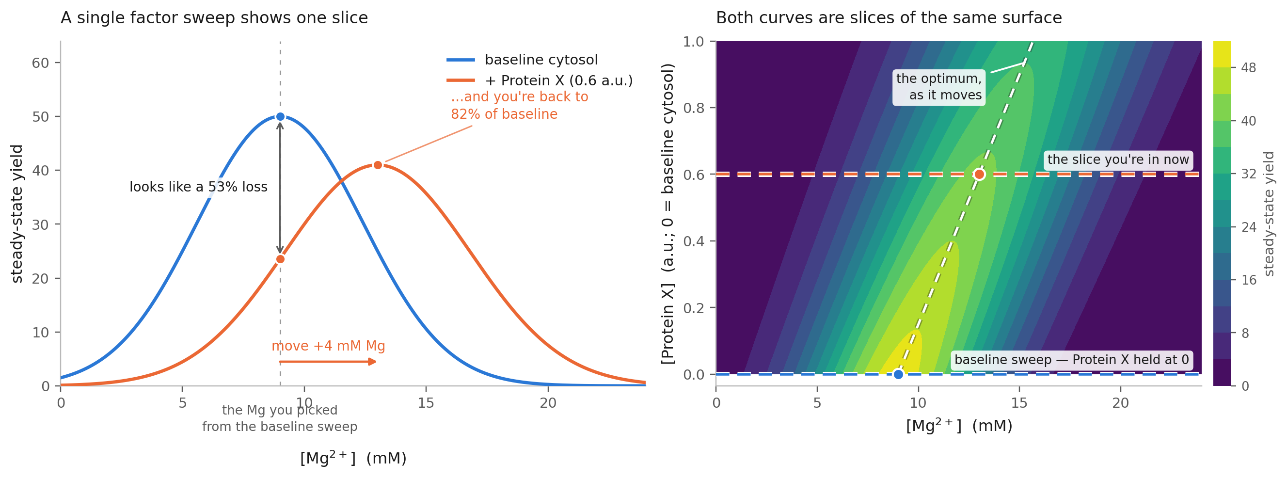 Adding a module can move the optimum. left: Steady-state protein yield against magnesium concentration (blue) for a base cytosol composition. When we add a new module or protein, using the same cytosol composition makes the new module appear to perform poorly. Moving along the magnesium axis reveals that the system can still perform well. It now just operates in a different region (simulated data). right: adding a new protein adds a new dimension to the Cytosol landscape that we now also need to consider (simulated data). Note that landscapes may not be as clean as the simulated data.