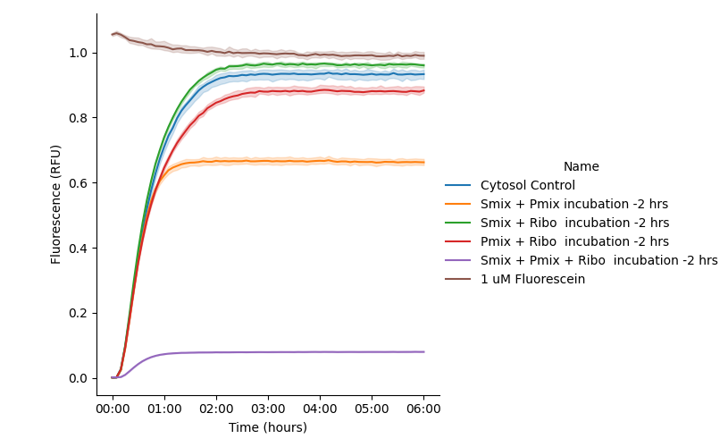 Pre-incubation of the binary SMix + PMix mixture reduced subsequent protein yields compared to the Cytosol control. Notably, the most pronounced reduction in yield occurred within the ternary SMix + PMix + Ribo sample.