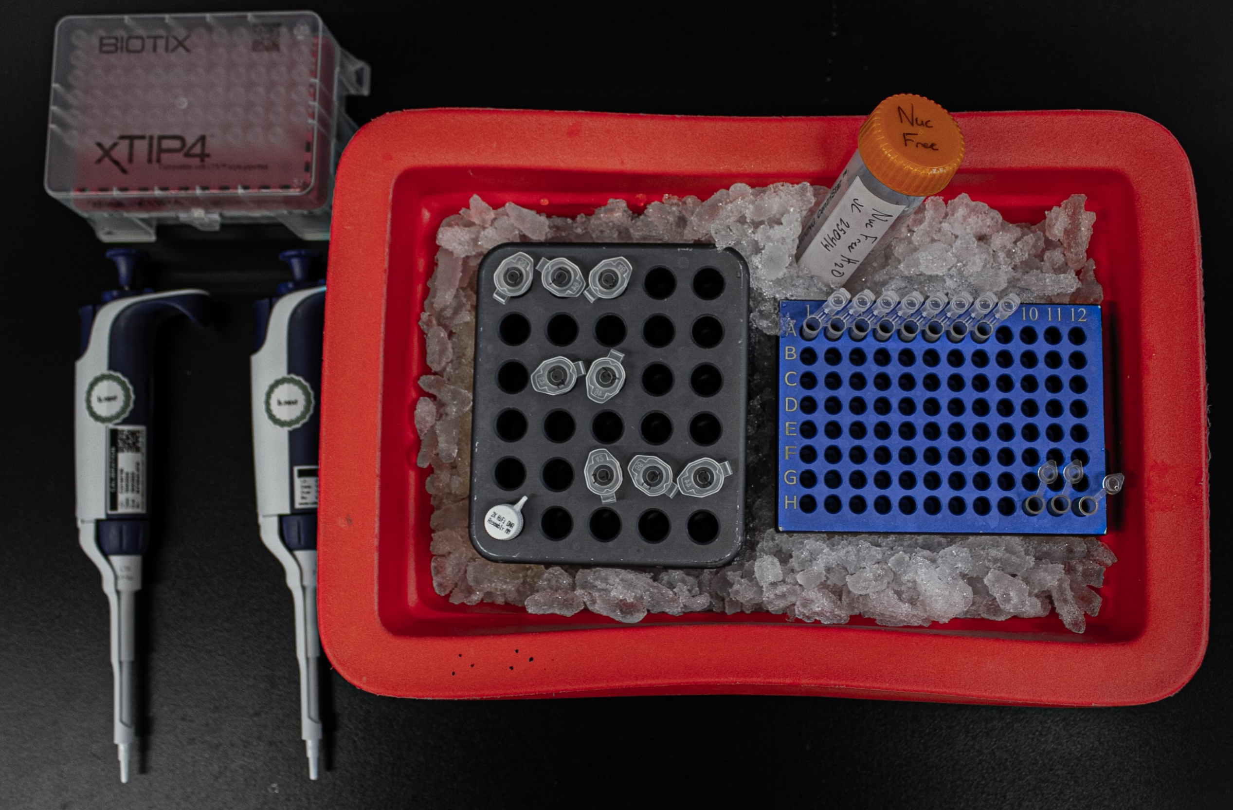 Mise en place of materials required for testing the PURE system.
