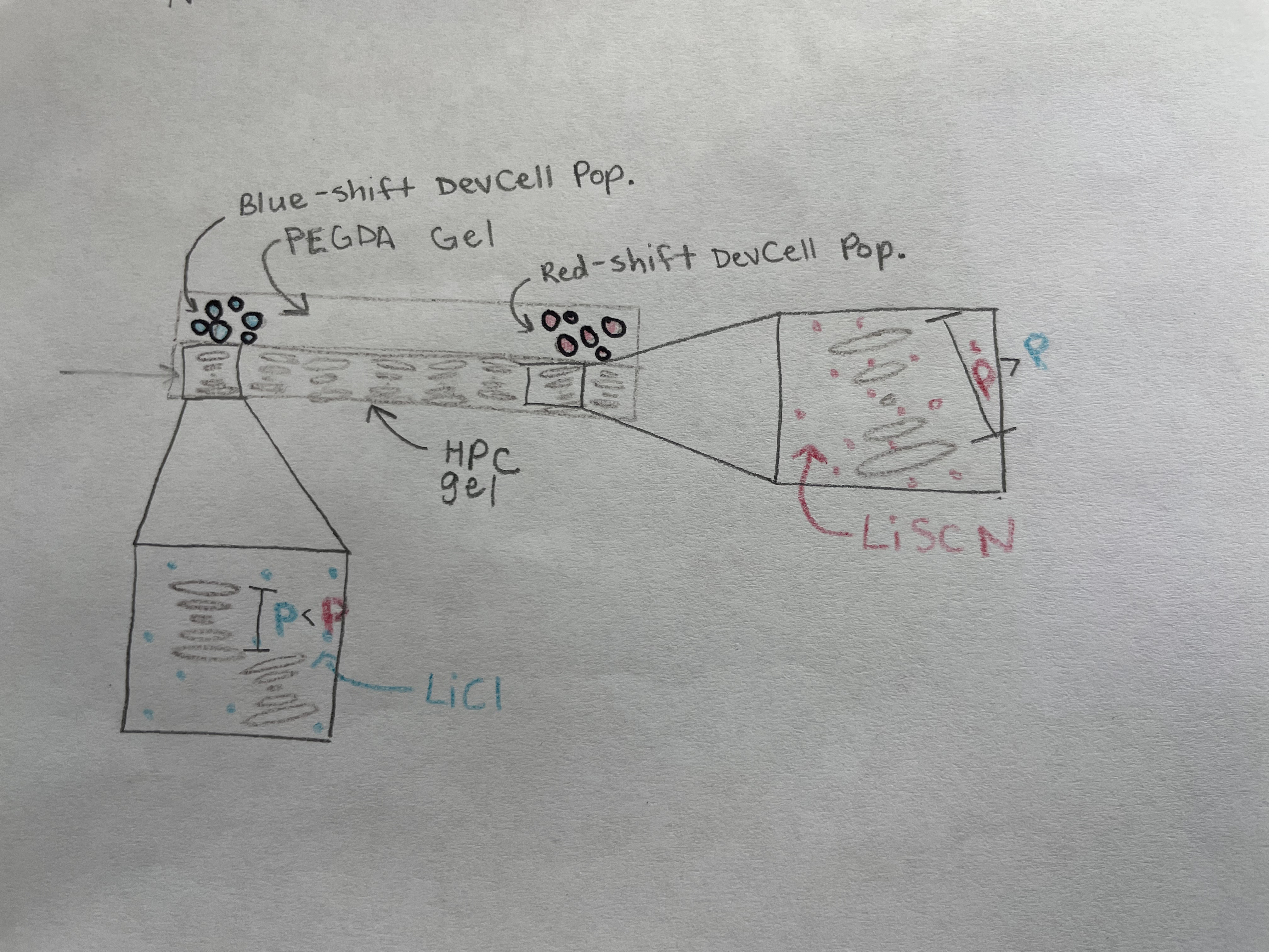 HPC Colorimetric Sensor Overview