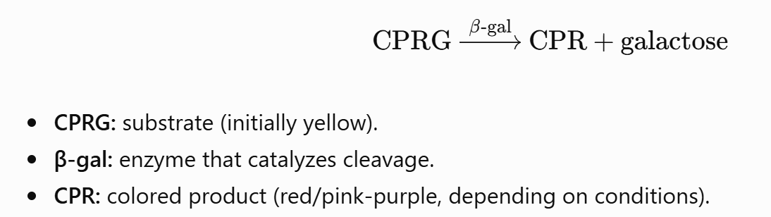 CPRG is cleaved by β-galactosidase to CPR and galactose. CPRG is the substrate
and is initially yellow. CPR is the coloured product, red to pink-purple
depending on conditions.