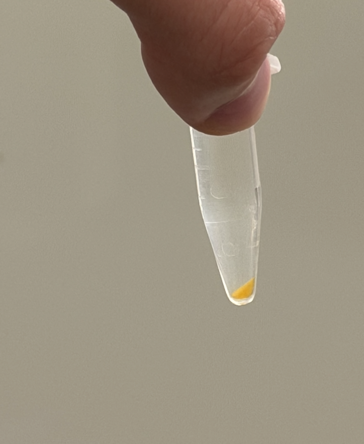 Snapshot of the LUV pellet after 4 washes.